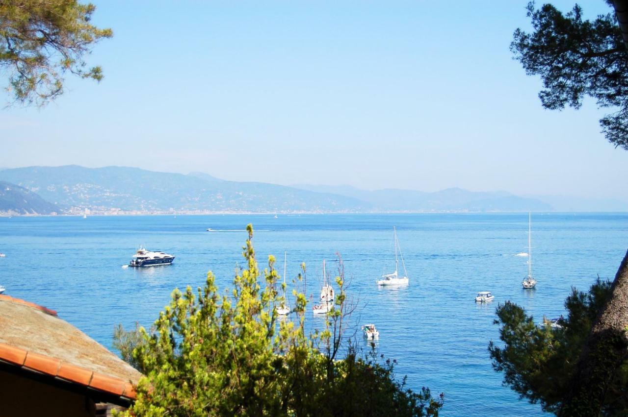 Portofino Seaview Apartment, 50 Meters From The Beach, Free Parking, Air Conditioning Paraggi Exteriér fotografie